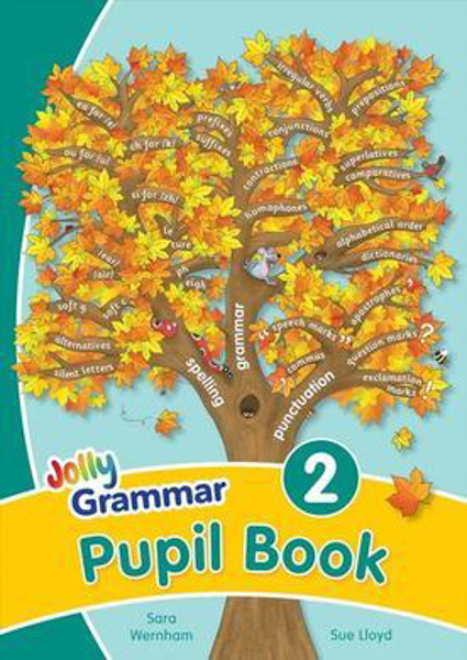 Jolly Grammar 2 Pupils Book