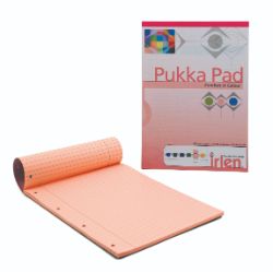 Pukka Irlen A4 Coloured Refill Pad (Rose)