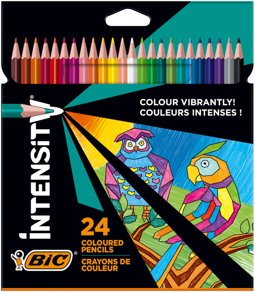 Bic Intensity Colouring Pencil 24 Pack